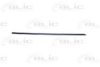 FIAT 716911080 Trim/Protective Strip, door